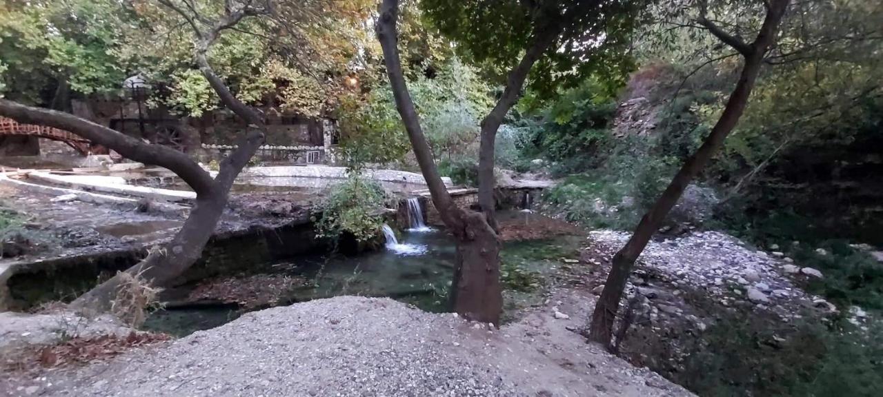 Maria Tsomou Theologos (Thasos) Exterior foto