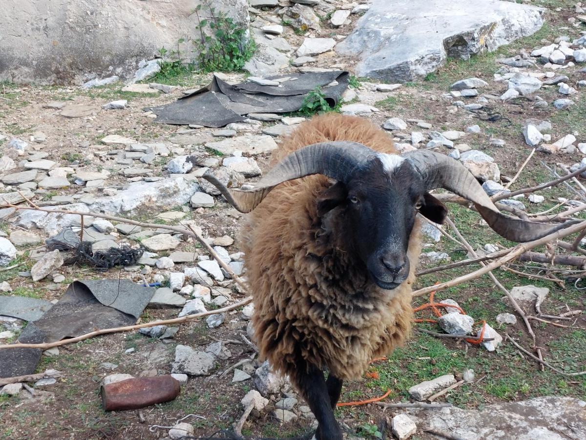 Maria Tsomou Theologos (Thasos) Exterior foto